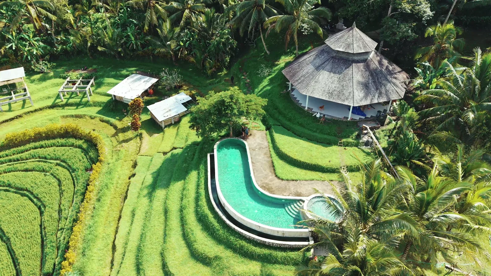 Aerial view over Tabanan's terraced rice fields