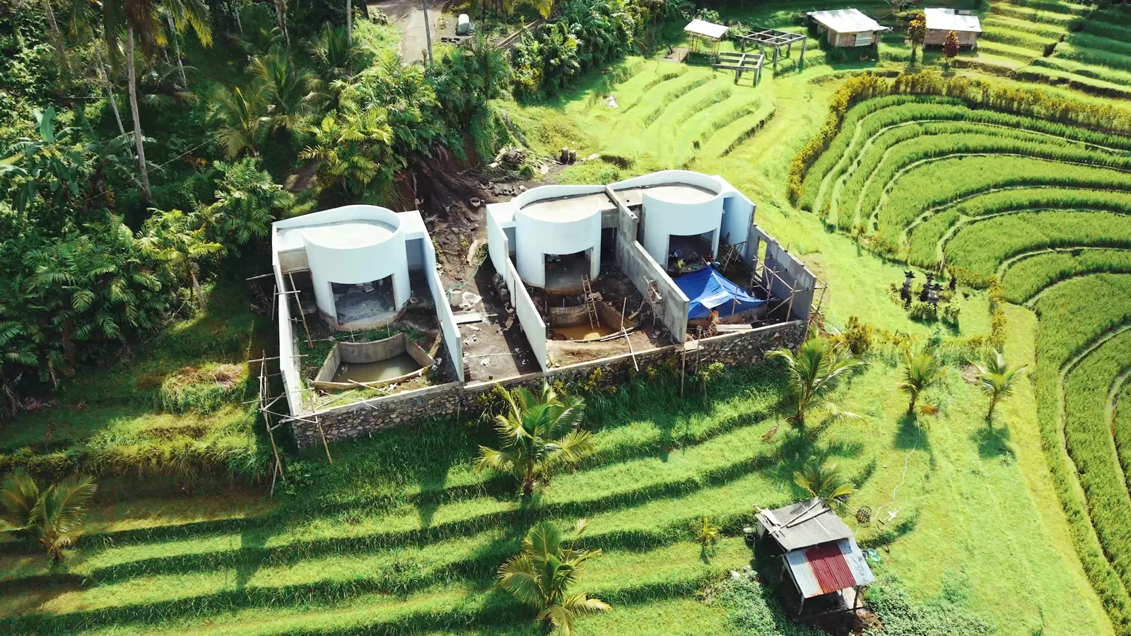 Terraced rice fields wrapping the Tabanan residences