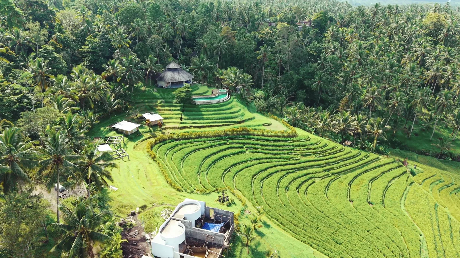 Jungle canopy and terraces above the Tabanan valley