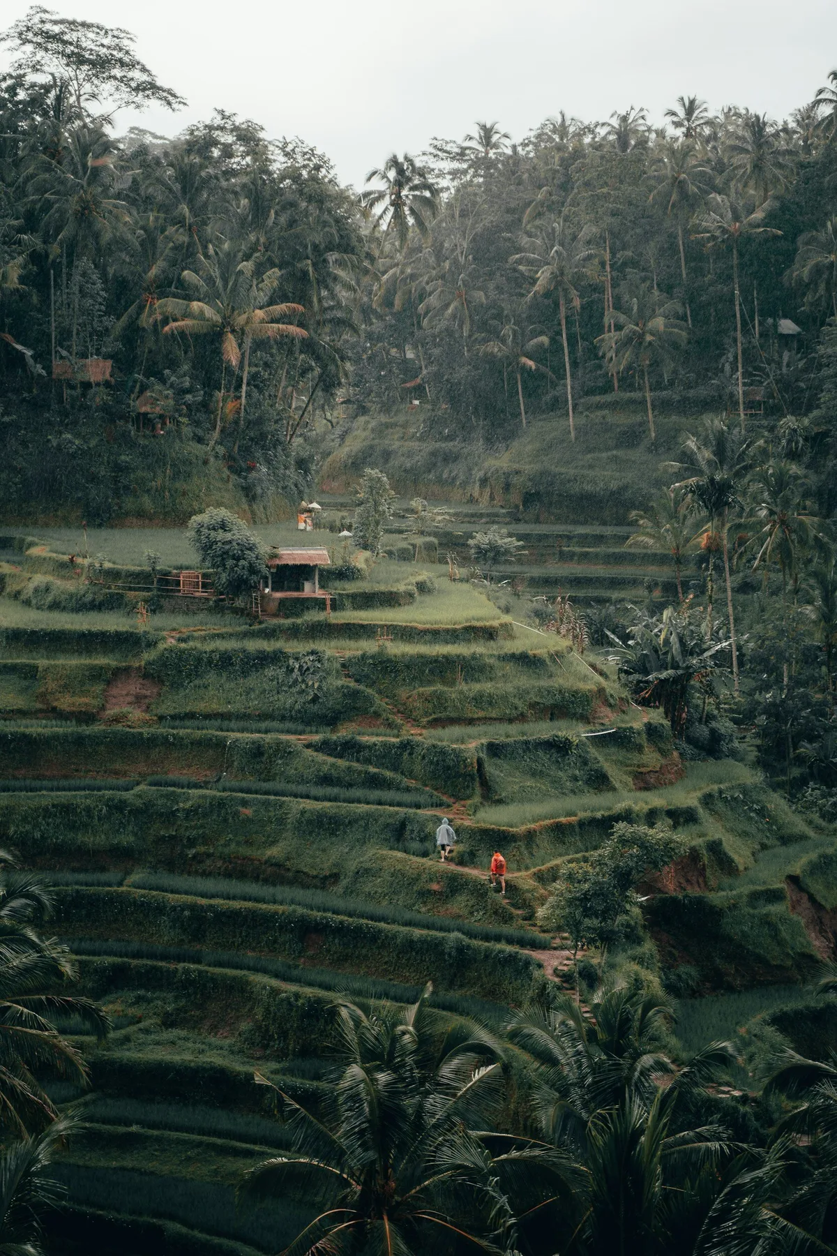 Branding Jakarta as a Global Icon — To Create One of the World's Most Recognisable Urban Landmarks