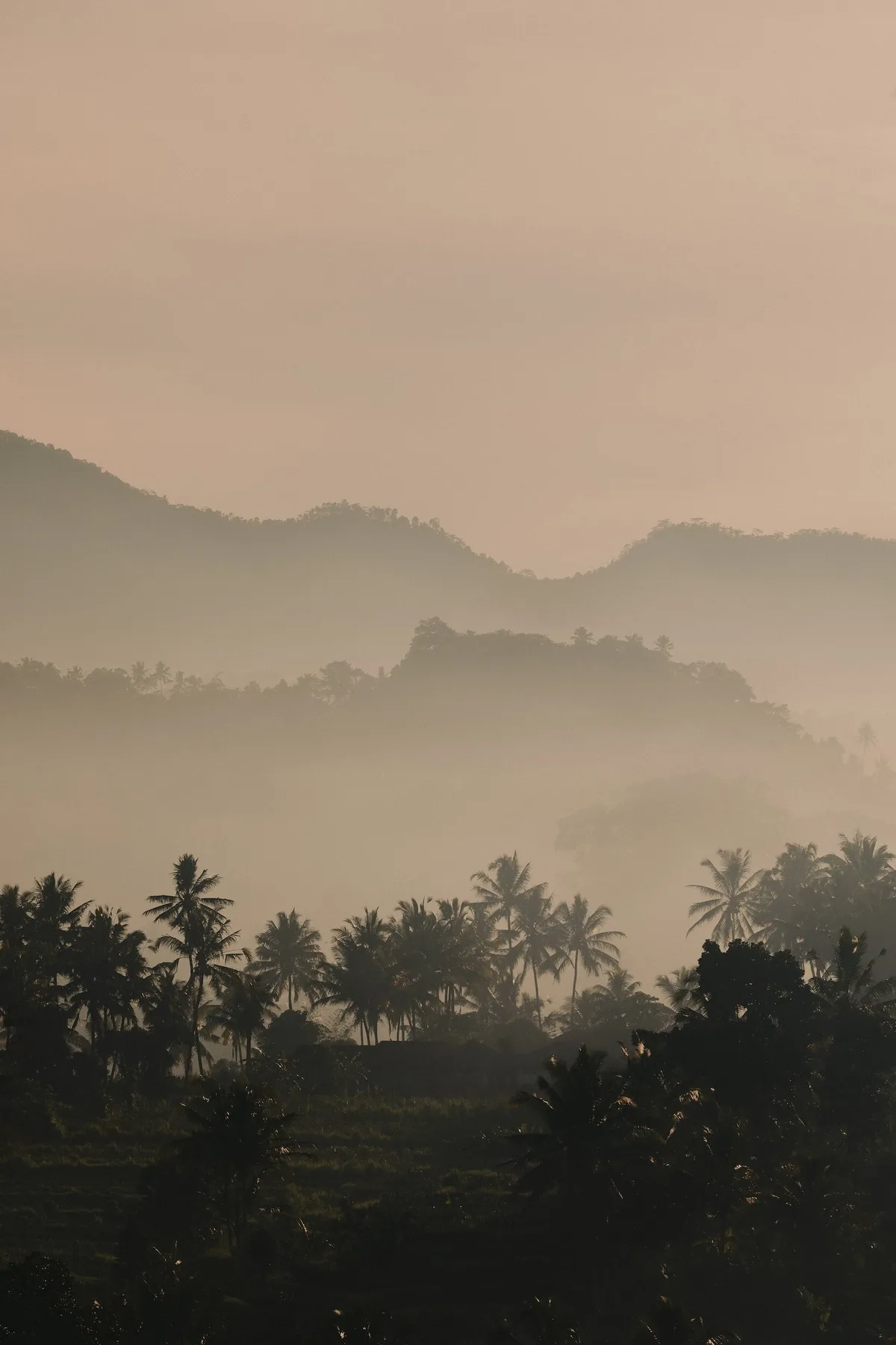Bali landscape at first light